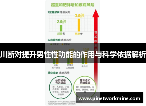 川断对提升男性性功能的作用与科学依据解析